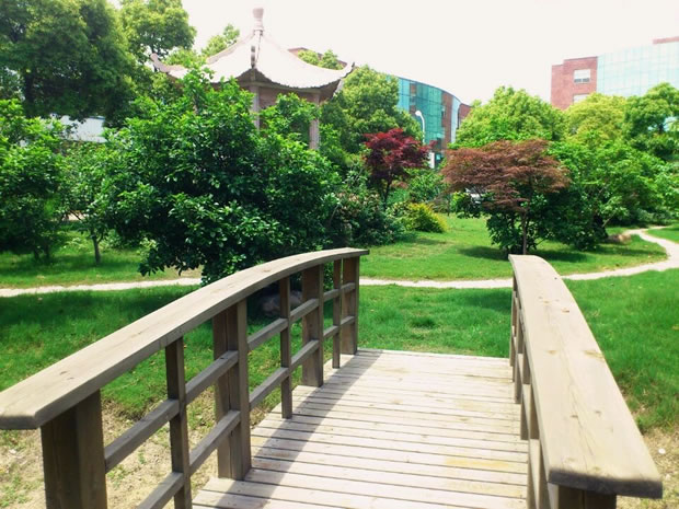 �����Ҝ��������ط����zӰ���(d��ng)һ�Ȫ�(ji��ng)���D 3��