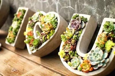 �Aͤ悈Fί���Ϻ������y�T�S�_չ΢���^�GֲDIY��ӣ��D1��