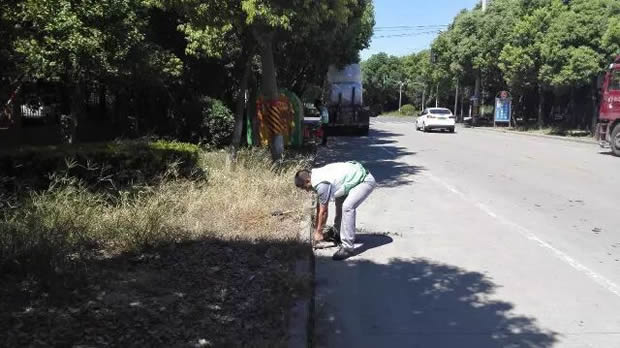 滬工閥門美麗華亭清潔家園志愿者活動(圖2)